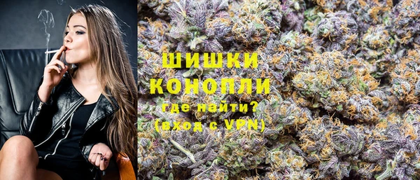 spice Алзамай