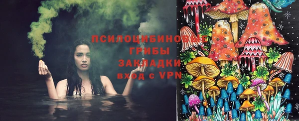 spice Алзамай